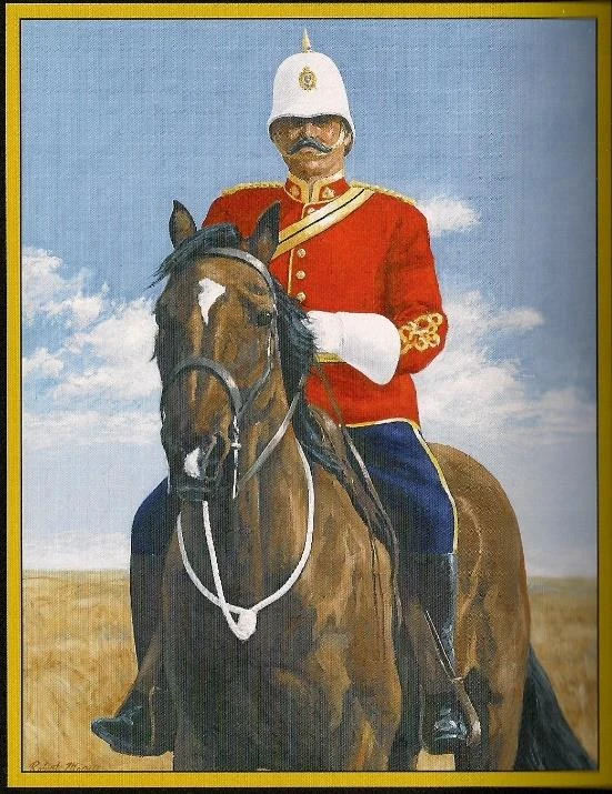 Two hikers in colorful jackets stand together in a sunlit forest, holding trekking poles, surrounded by tall trees